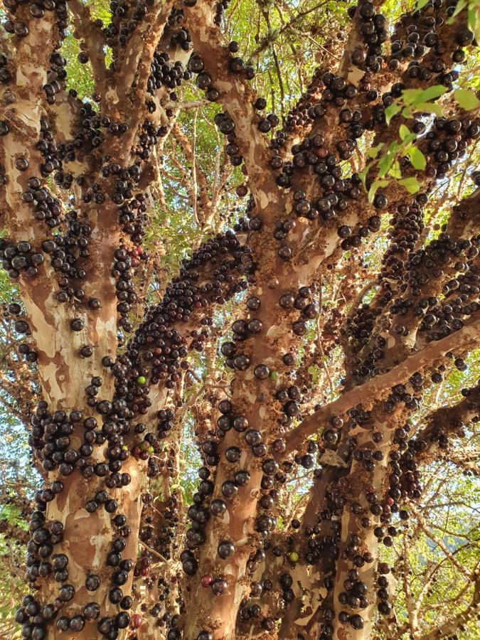 Pousada Paraiso Serra Negra  Luaran gambar